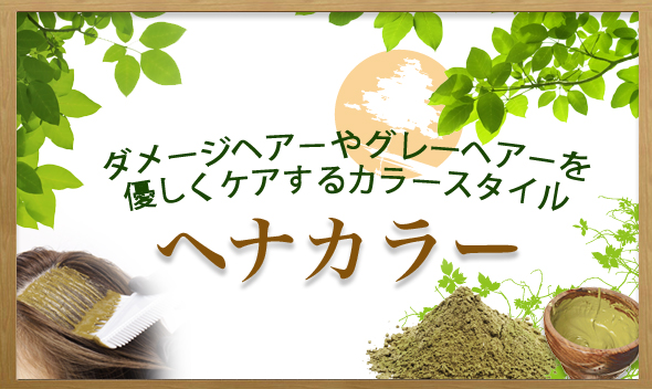 ネクスト野田阪神店　ヘナカラー